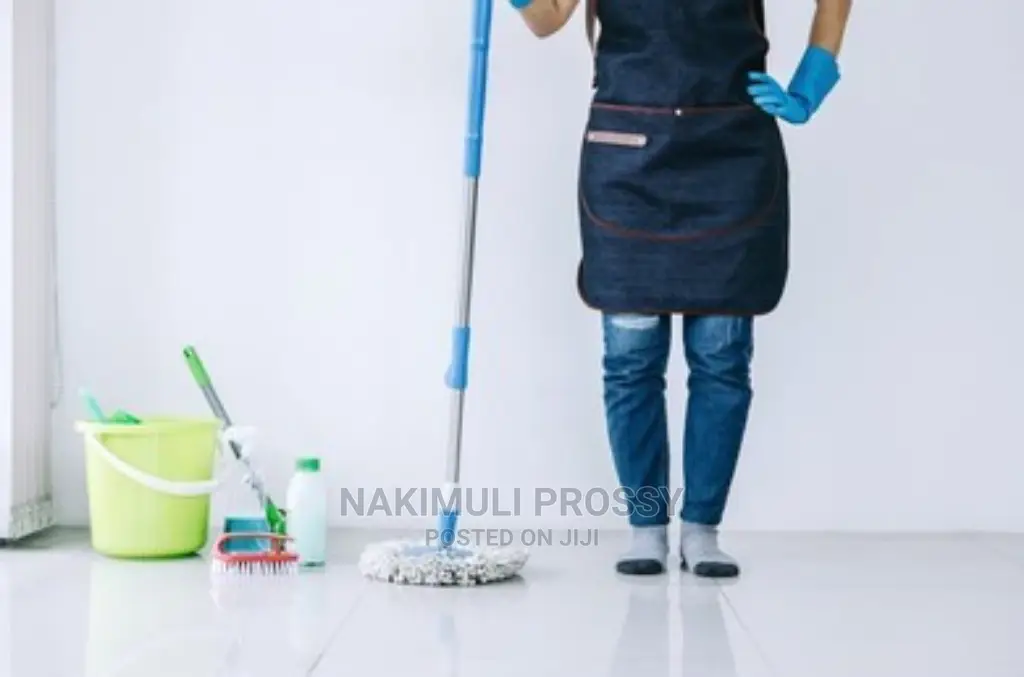 Professional Cleaning Services or Cleaner