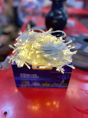 Water Proof Decoration Lights for 50 Meters