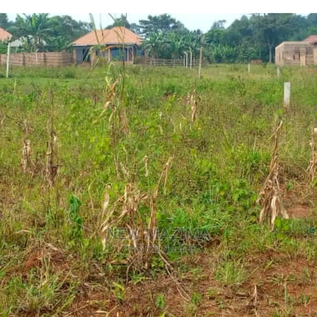 Affordable Private Mile Land Titled Plot Onsale Buloba