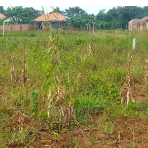 Affordable Private Mile Land Titled Plot Onsale Buloba