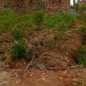 Affordable Private Mile Land Titled Plot Onsale Buloba
