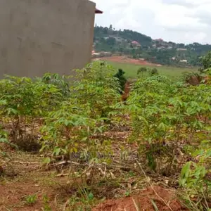 Affordable Private Mile Land Titled Plot Onsale Buloba
