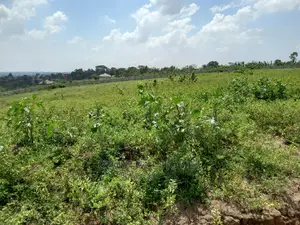 Kira Two Posh Plots on Sell