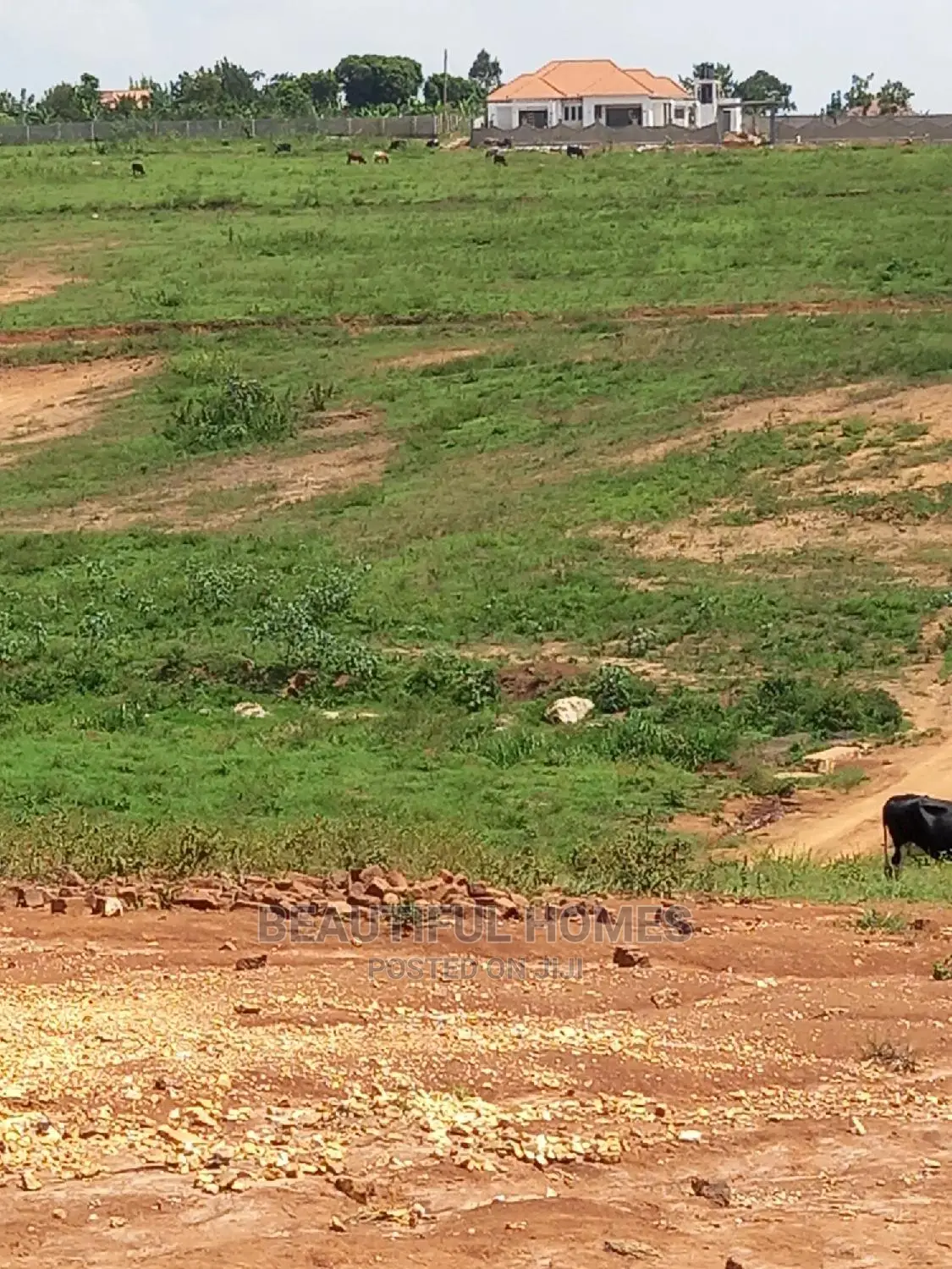 Two Plots In Kasangati On Sell