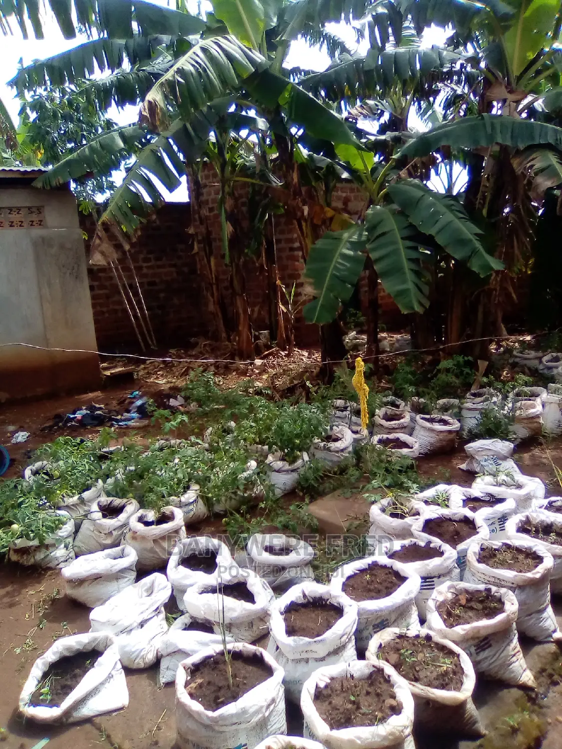 50/100 Plot For Sale In Kagala