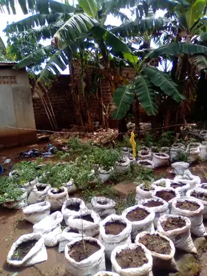50/100 Plot For Sale In Kagala