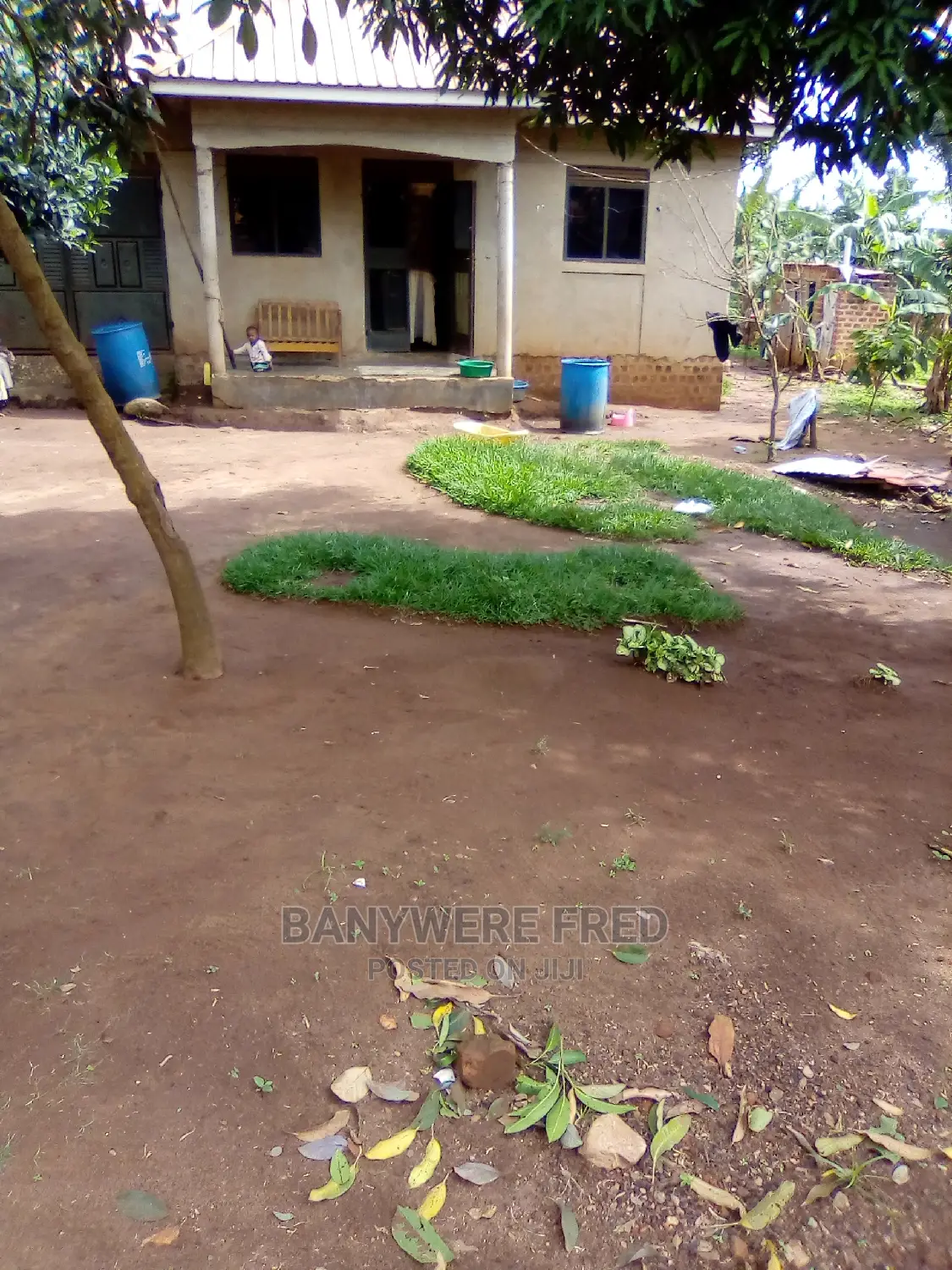 50/100 Plot For In Kalagala