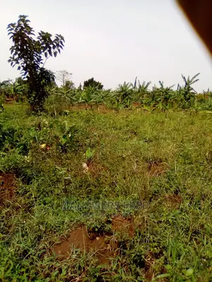 5acres Of Farmland In Kamengo