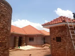 Roof Top/Roof Tile/Iron Sheet Cleaning.