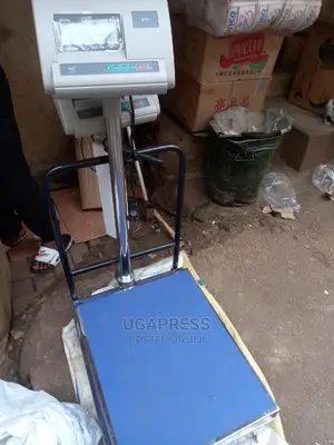 A12 Digital Scale (300kg)