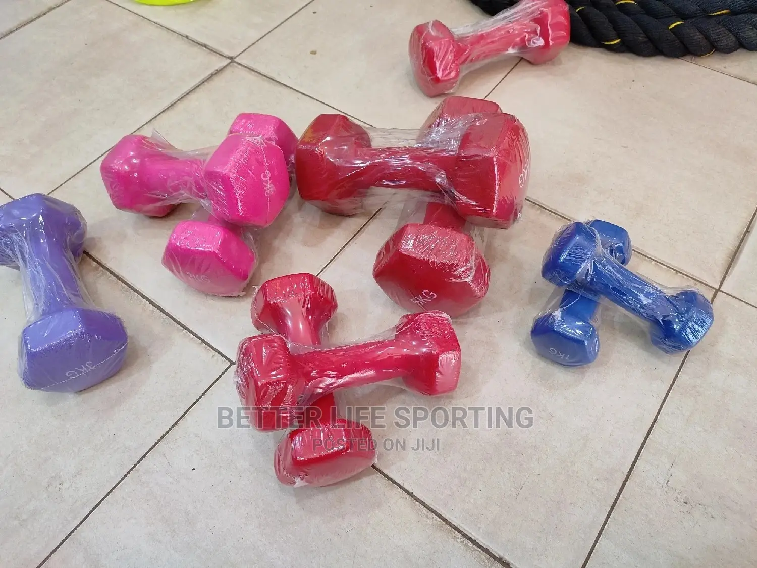Coloured Dumbbells 3