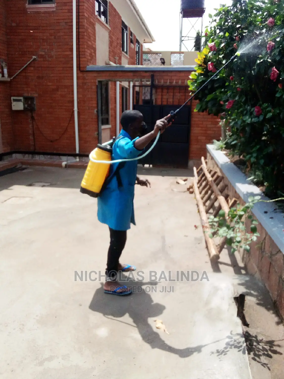 We Do Fumigation We Do Good Work at Affordable Price
