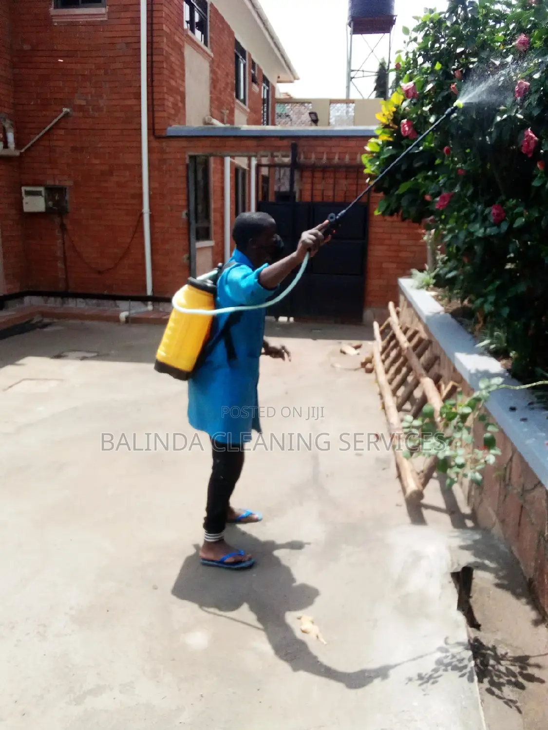 We Do Fumigation We Do Good Work at Affordable Price