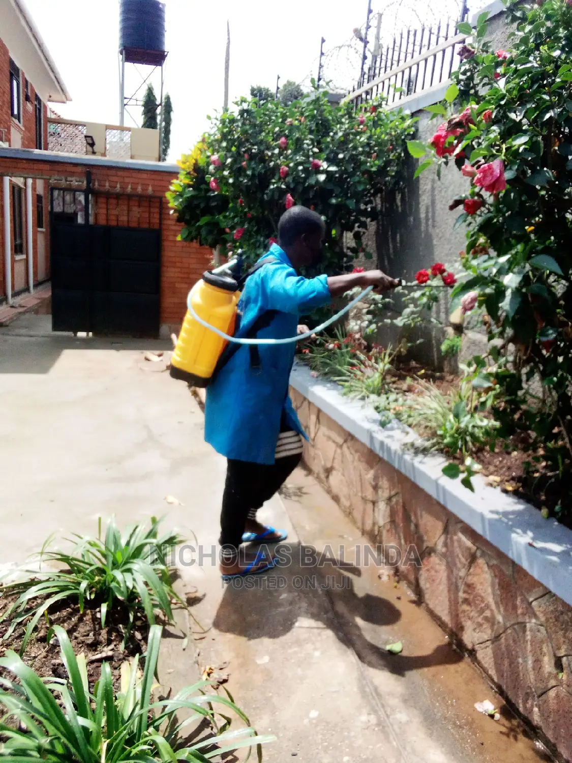 We Do Fumigation We Do Good Work at Affordable Price