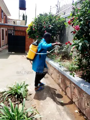 We Do Fumigation We Do Good Work at Affordable Price
