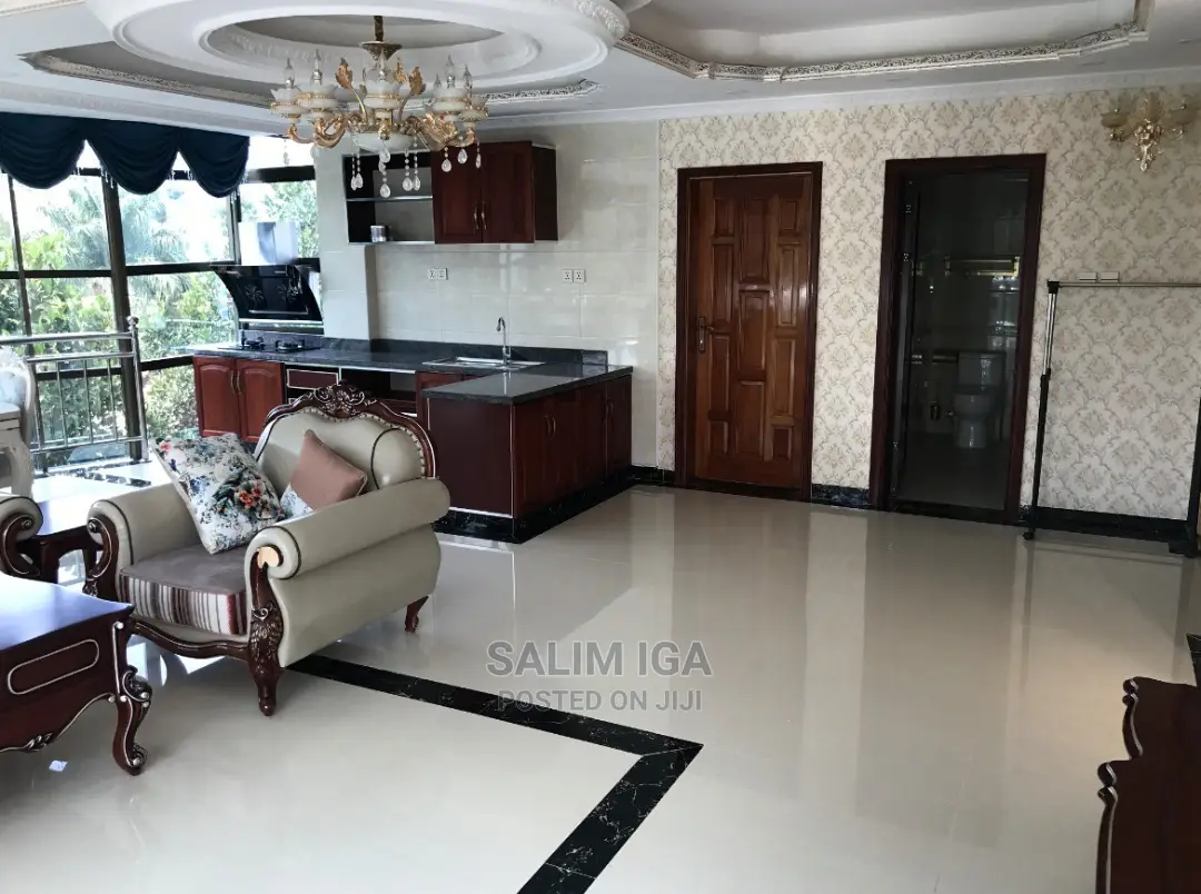 Furnished 1bdrm Apartment in Kololo Property, Central Division