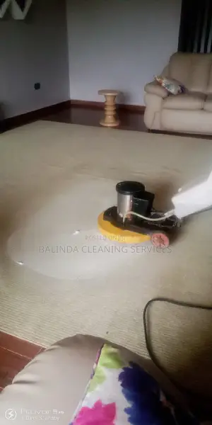 We Do Carpet Cleaning Using Machine
