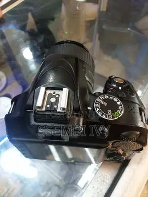 Nikon D3300