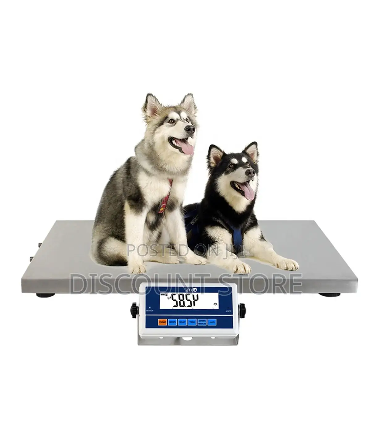 Commercial Registered Weighing Scales