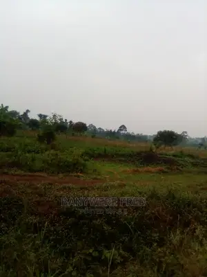 3acres of Farmland for Sale in Kamuli District