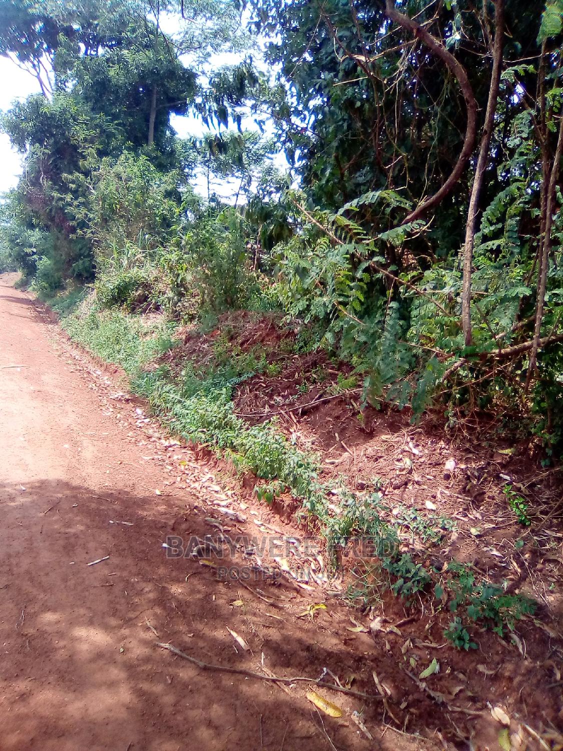 2acre of Land for Sale in Kamuli in Jinja Land & Plots for Sale