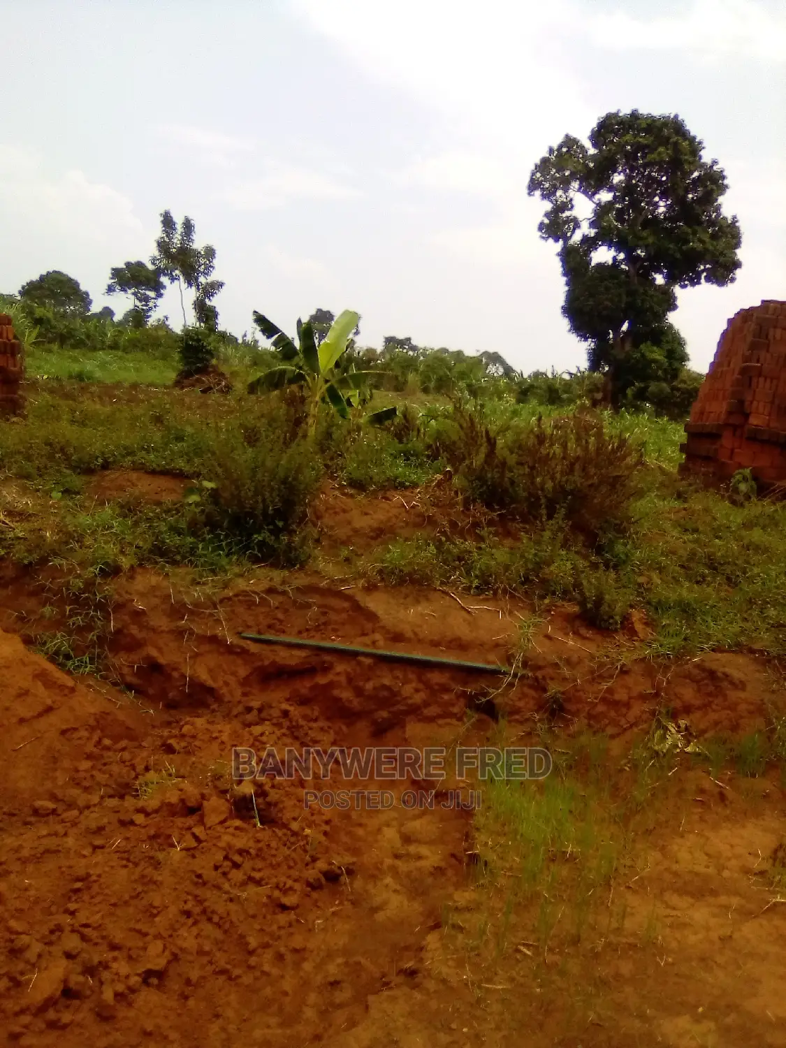 50/100 Plot for Sale in Kamuli District