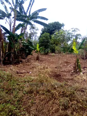 50/100 Plot for Sale in Kamuli District