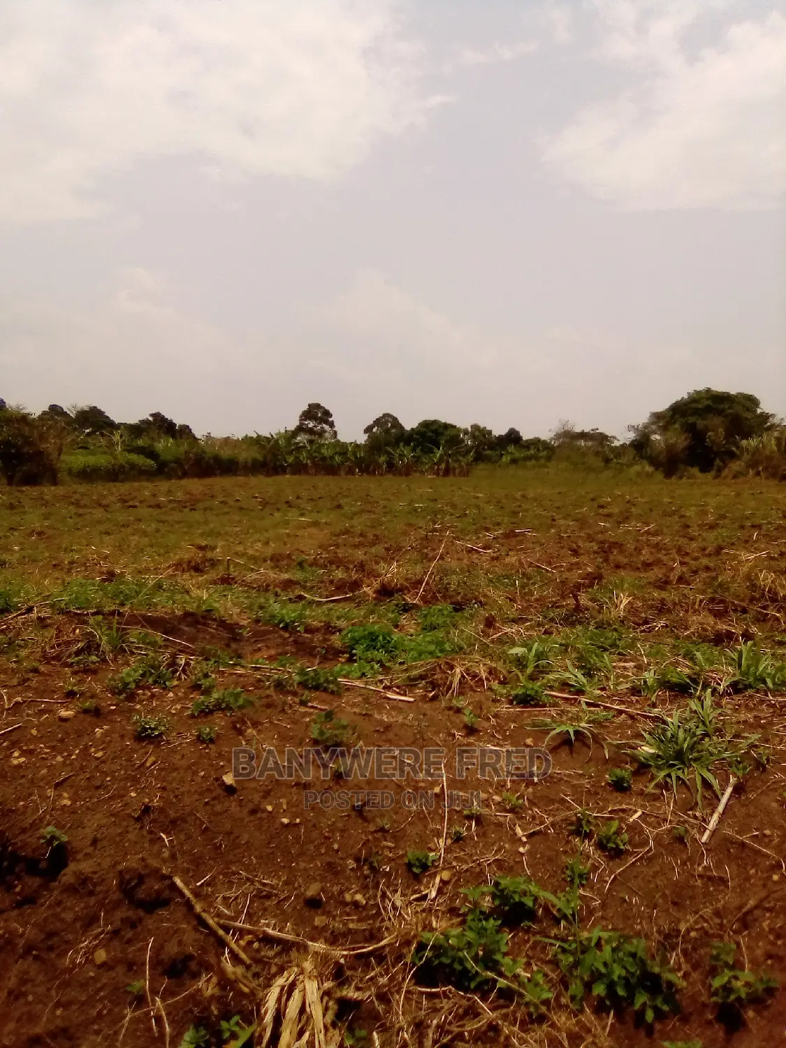 100/100 Plot for Sale in Kisonga