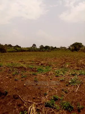 100/100 Plot for Sale in Kisonga
