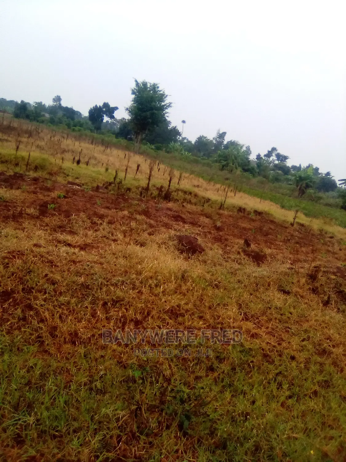 1acre of Land for Sale in Jinja