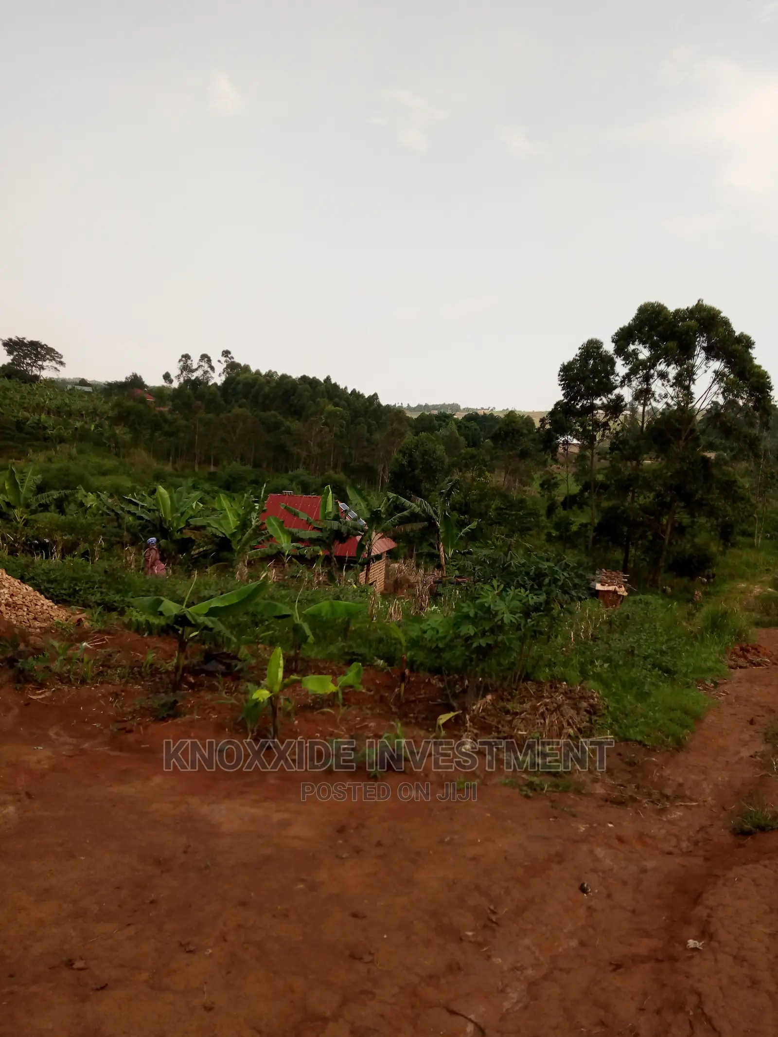 Plot Sale 90x25ft at 5m Ugx Setema Town Kazinga