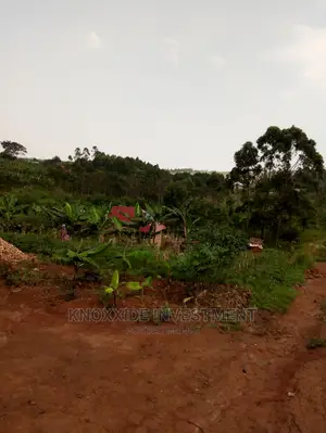 Plot Sale 90x25ft at 5m Ugx Setema Town Kazinga