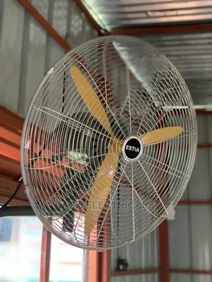 Heavy Duty Fan 30inc