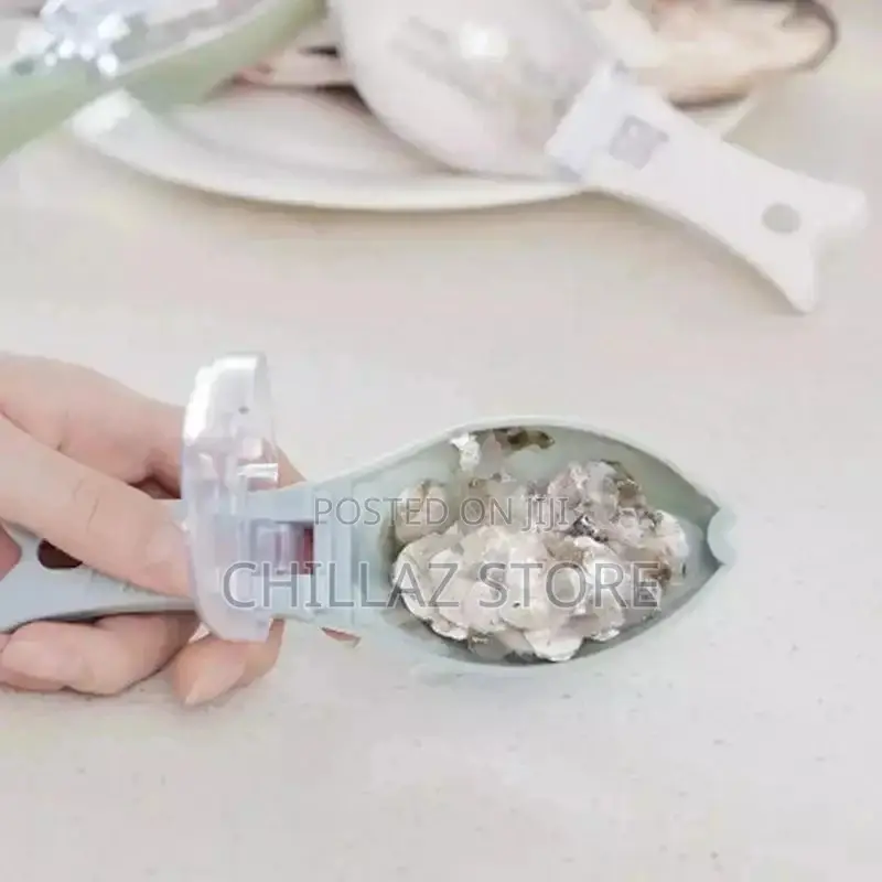 Fish Scales Remover