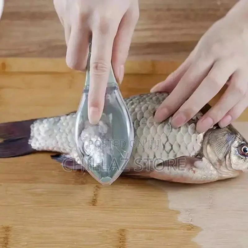 Fish Scales Remover