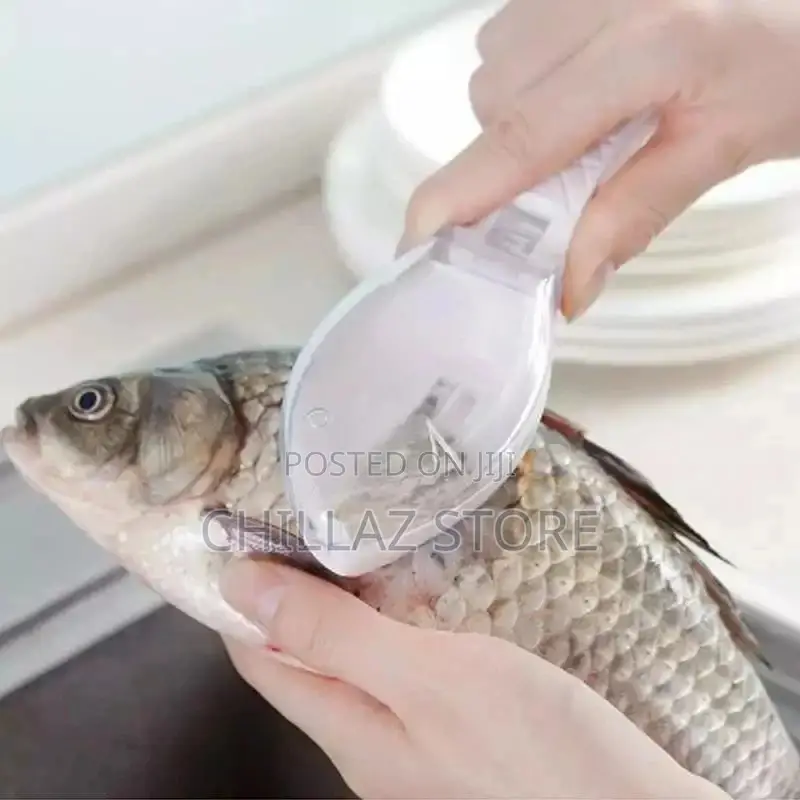 Fish Scales Remover