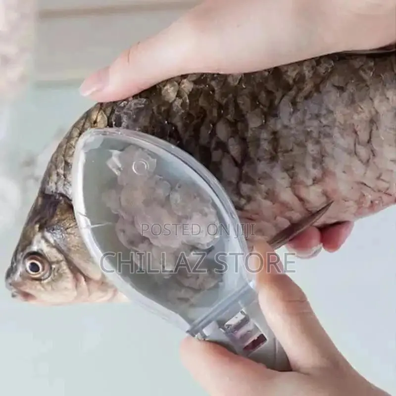 Fish Scales Remover