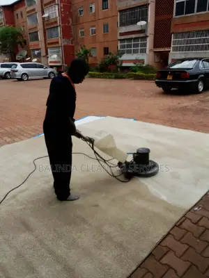 Carpet Cleaning Here at NB Cleaning Service at Low Price