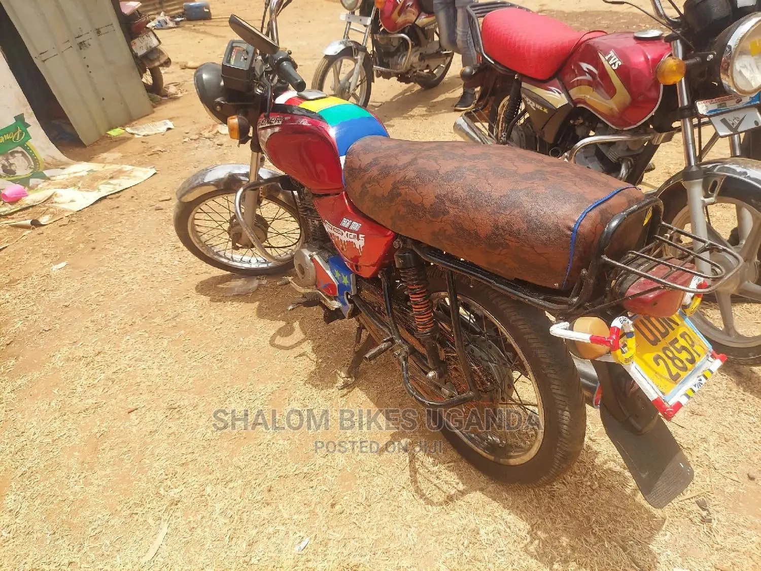 Bajaj Boxer 2019 Pink