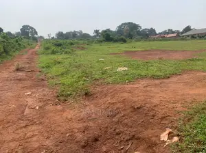 Commercial Land