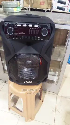 Jazz 12inch Public Speaker