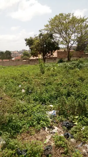 Prime Land