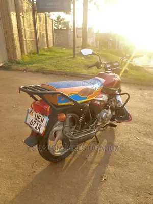 TVS Zeppelin 220 2021 Brown