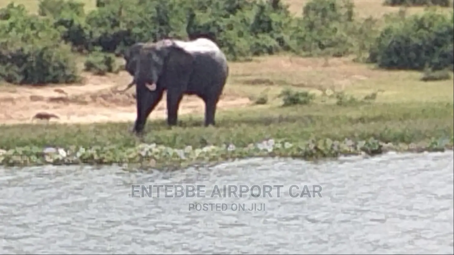 Excite Safaris