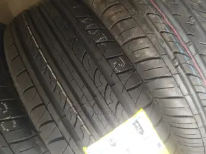 205/65r15 Ardent
