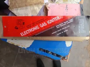 Electronic Gas Ignitor