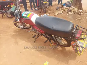 Bajaj Pulsar 150 2019 Pink