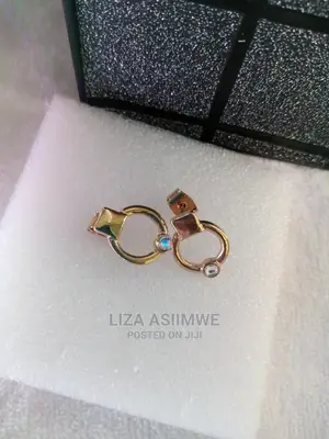 Photo - Simple Lady Earpins