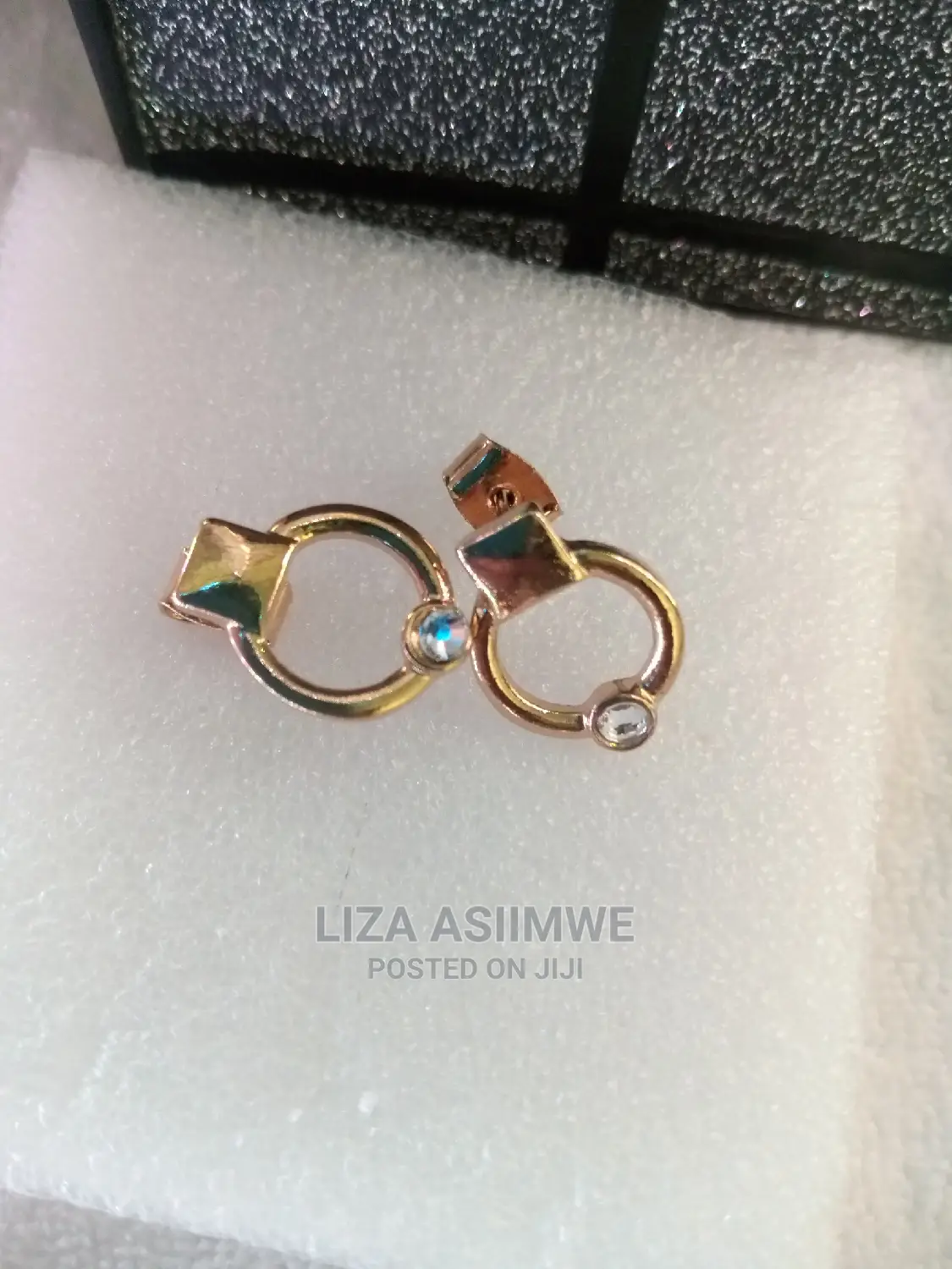 Simple Lady Earpins