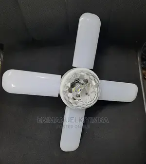 Disco Lights